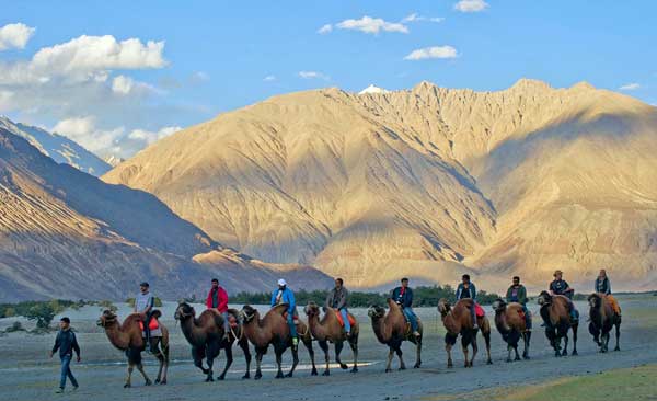 Delightful Ladakh